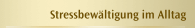 Stressbew&auml;ltigung im Alltag