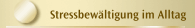 Stressbew&auml;ltigung im Alltag